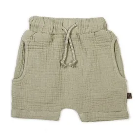 Organic Harem Shorts Sage